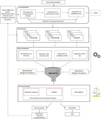 State of the Art of Triad-Based Ecological Risk Assessment: Current Limitations and Needed Implementations in the Case of Soil Diffuse Contamination